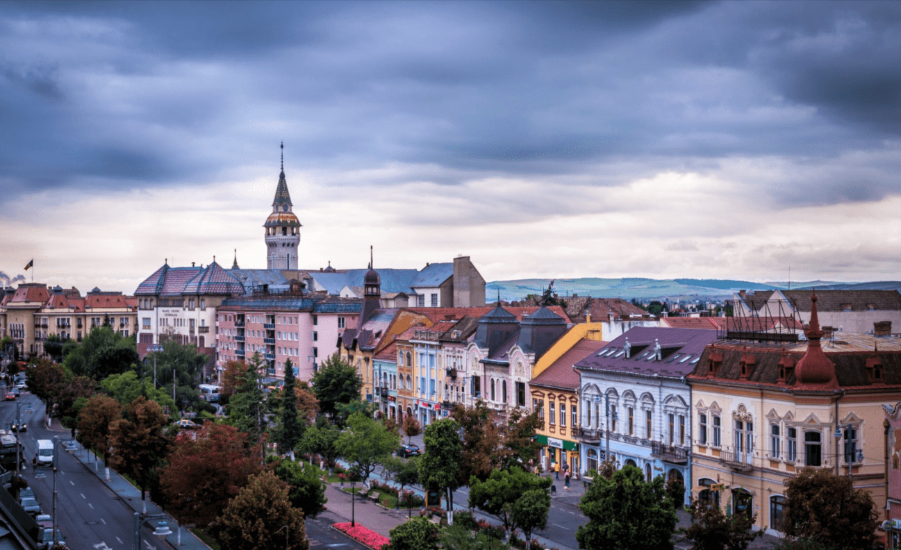 Family Fun in Târgu Mureș: Zoo, Old Town, and Local Eats